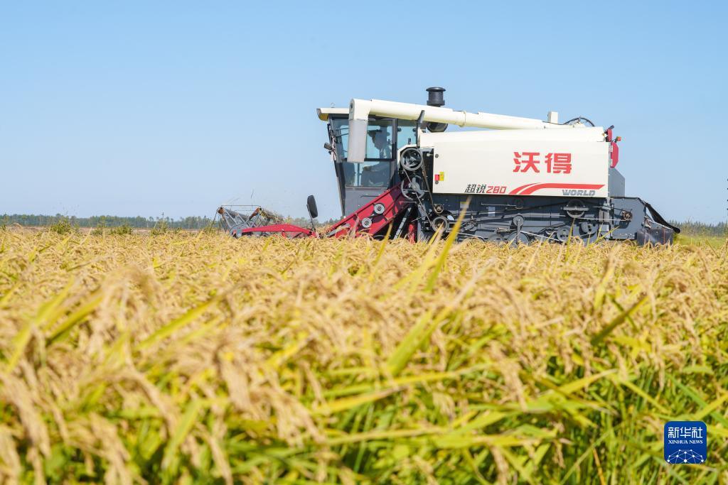 银钻娱乐苹果版下载
